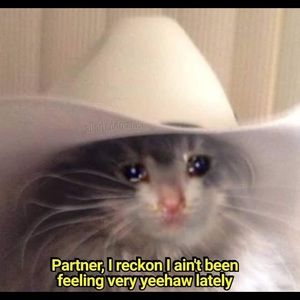 Meet your Posher, Kenneth